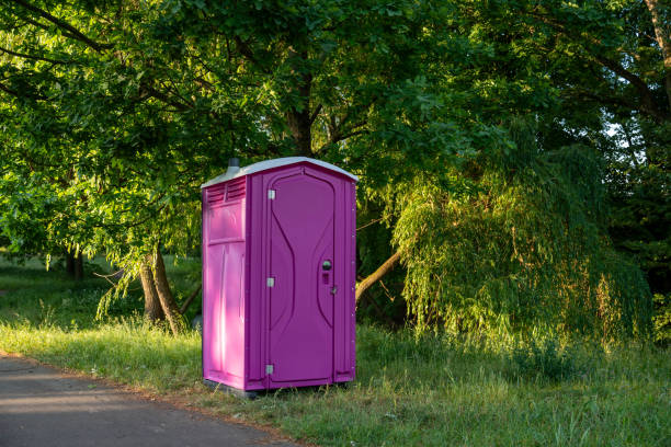 Professional porta potty rental in Sandoval, IL